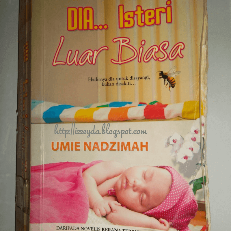 novel sebagai hadiah hari jadi untuk isteri