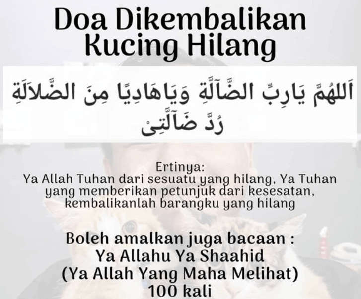 doa kucing hilang