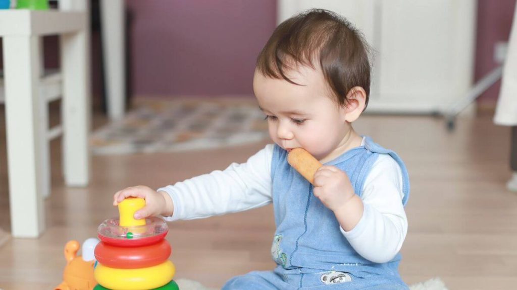 bayi sedang menikmati biskut bayi online