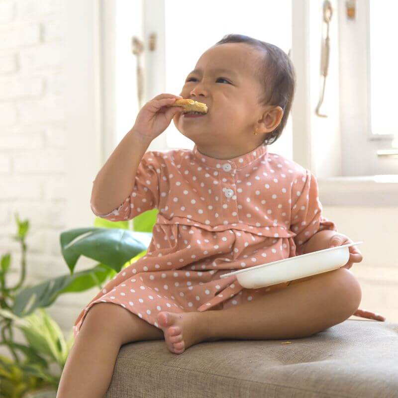 senarai biskut bayi terbaik