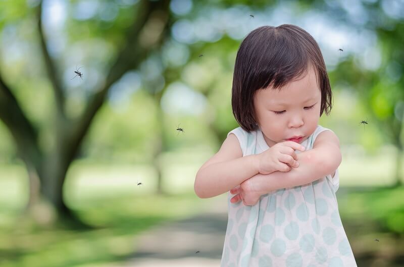 budak dengan gigitan nyamuk