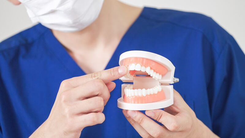 dentist menunjukkan model gigi di klinik gigi di Kluang, Johor