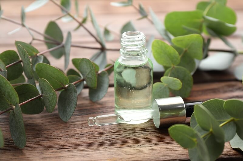 essential oil sebagai cara halau tikus