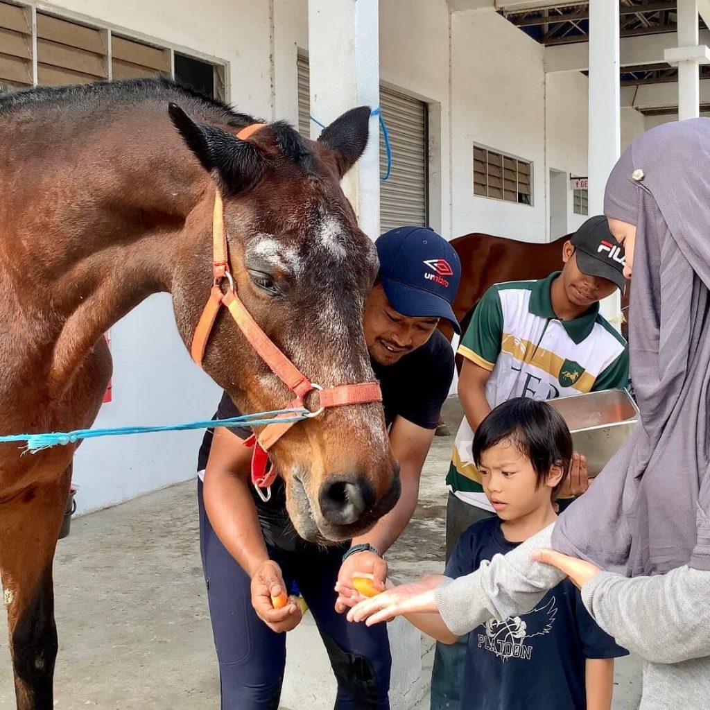 tempat menarik di Putrajaya - Taman Ekuestrian, Putrajaya