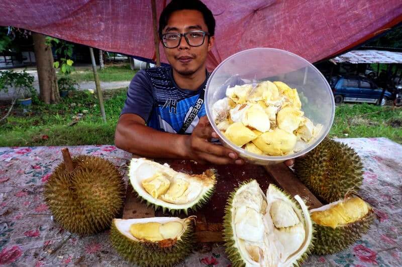 cara pilih durian