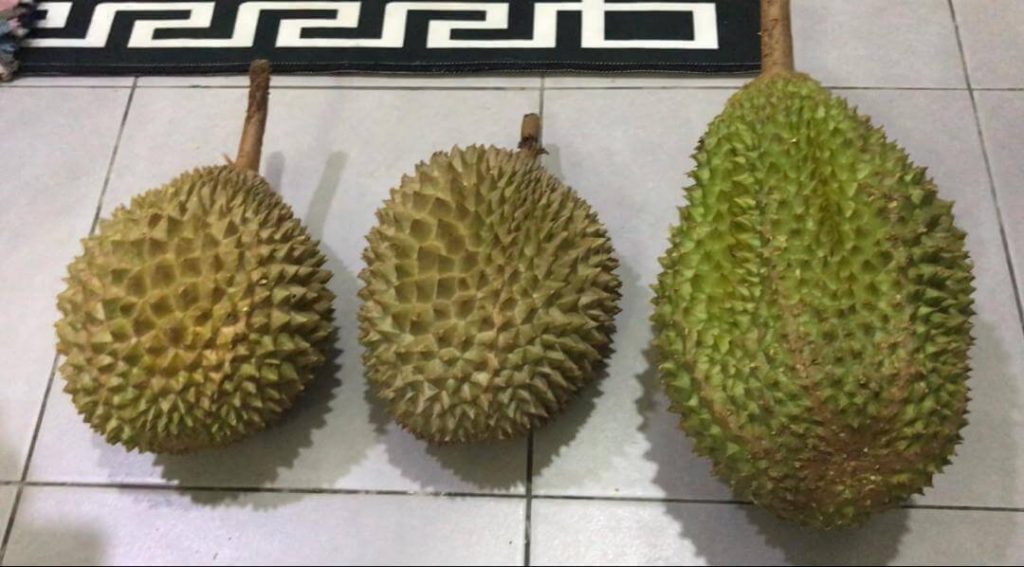 cara pilih durian dengan tengok bentuk jantung