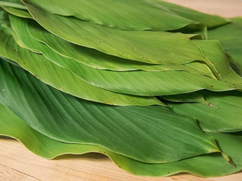 cara hilangkan gastrik dengan daun kunyit