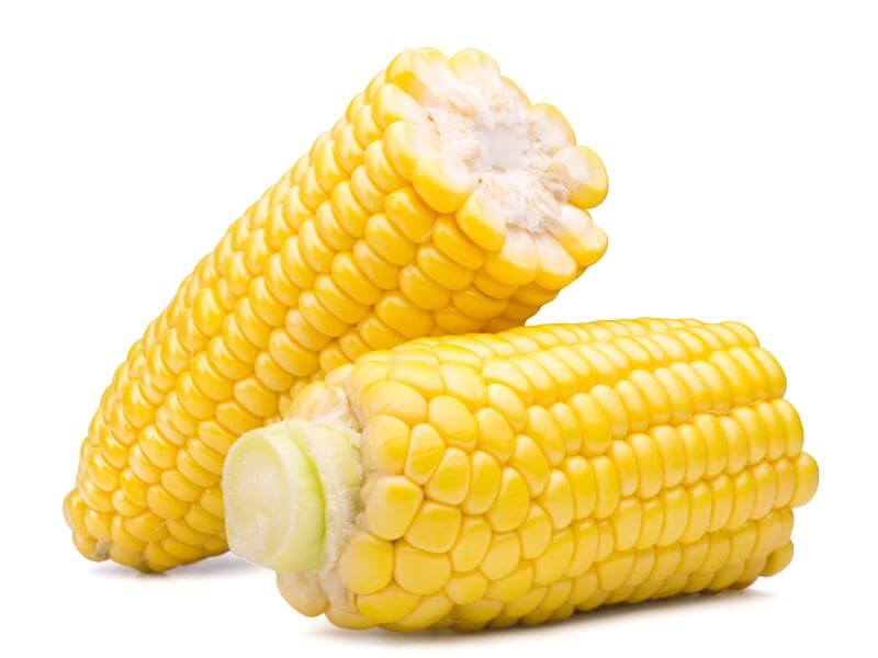 jagung