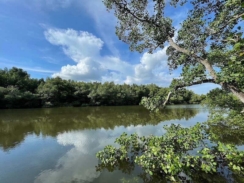 tempat menarik di lumut - taman paya bakau