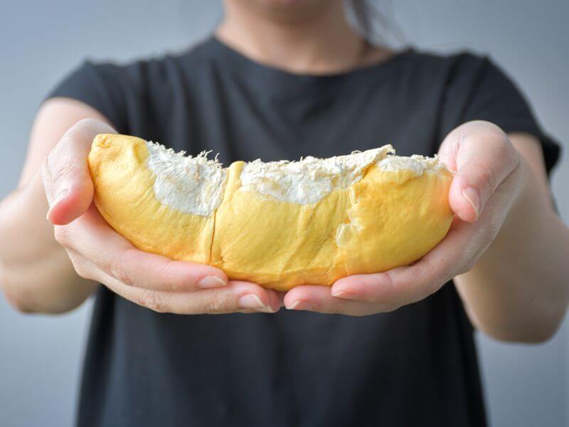 durian - buah durian 