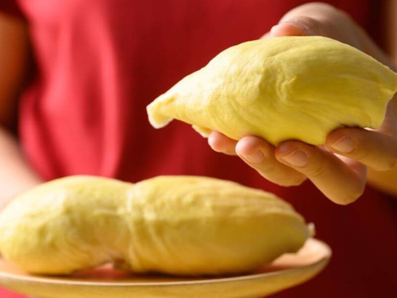 durian - makan durian 