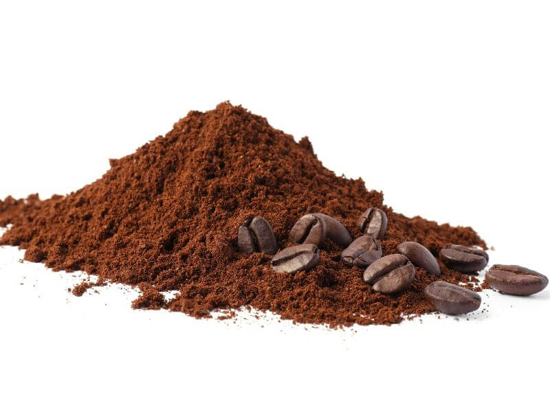 semut charlie - serbuk kopi