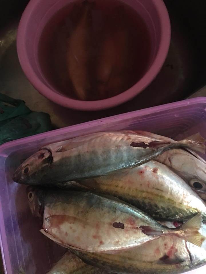 Cara Simpan Ikan Tahan Lama tanpa bilas