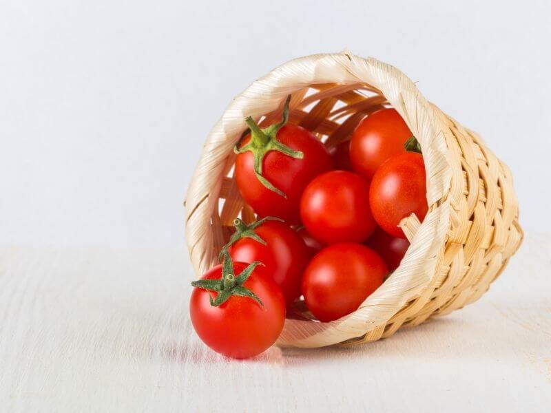 peti sejuk - tomato