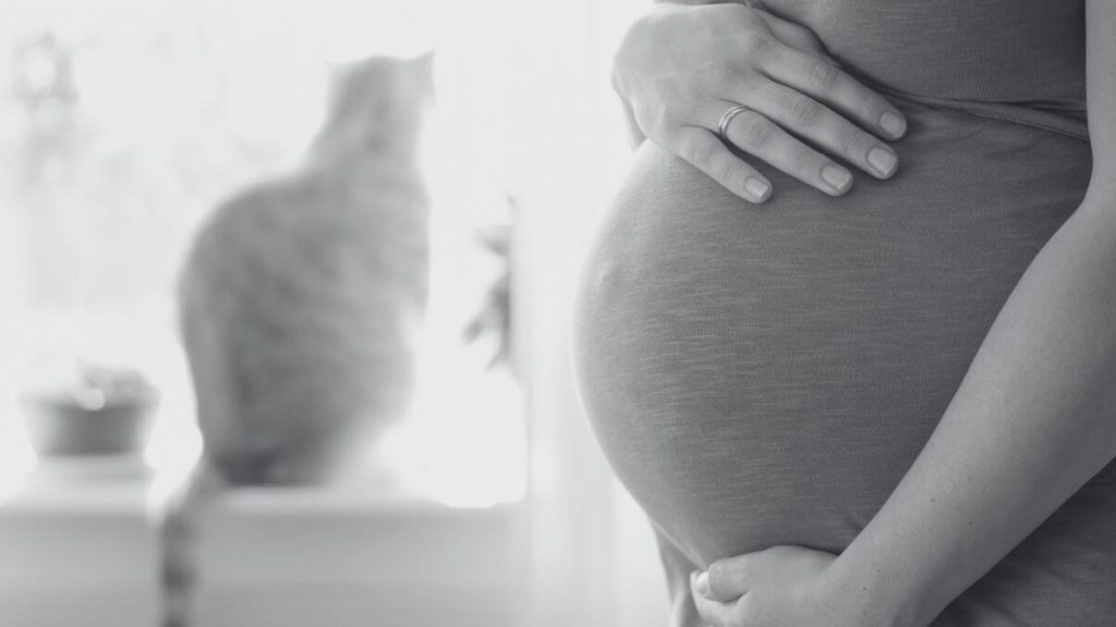 Mama Reda Anak Meninggal Dijangkiti Virus Toxoplasma Ketika Kandungan Berusia Sembilan Bulan