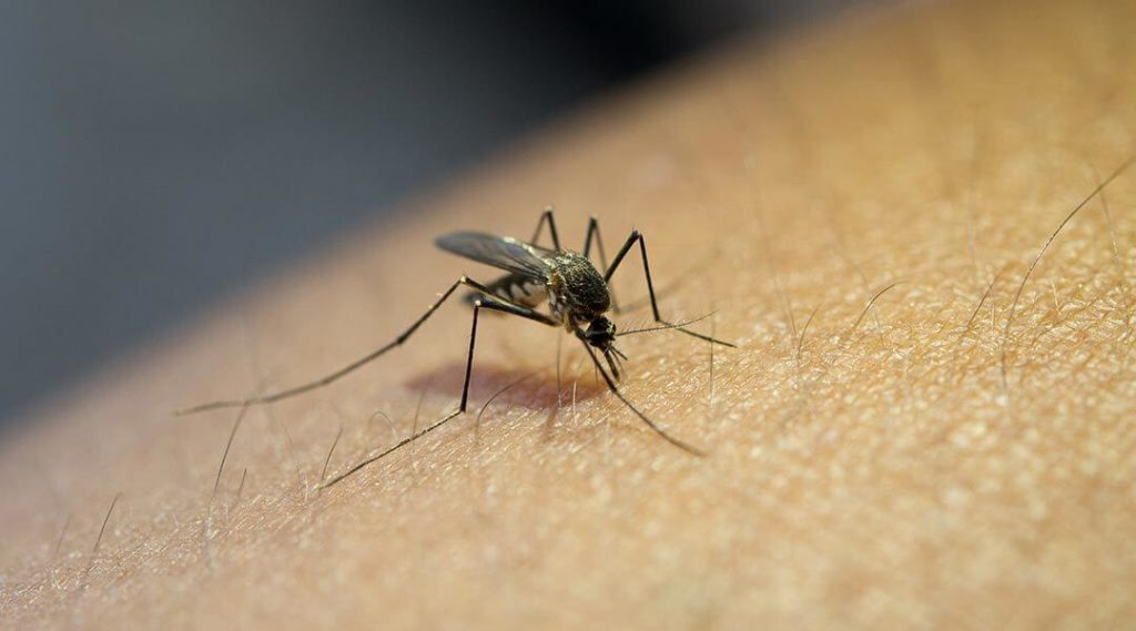 malaria merupakan salah satu penyakit bawaan air