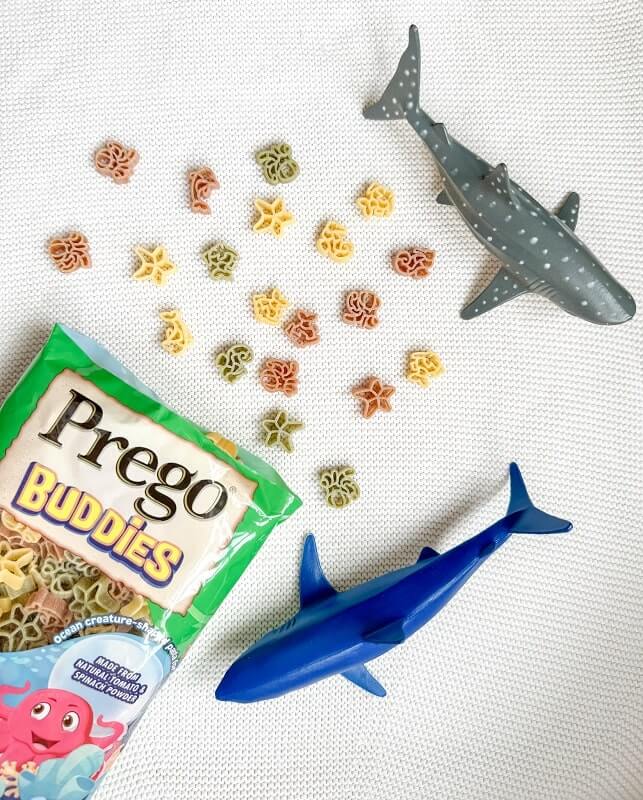 prego buddies ocean-min