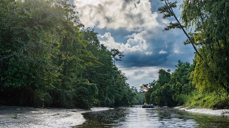 sungai kinabatangan, salah satu tempat honeymoon di Malaysia