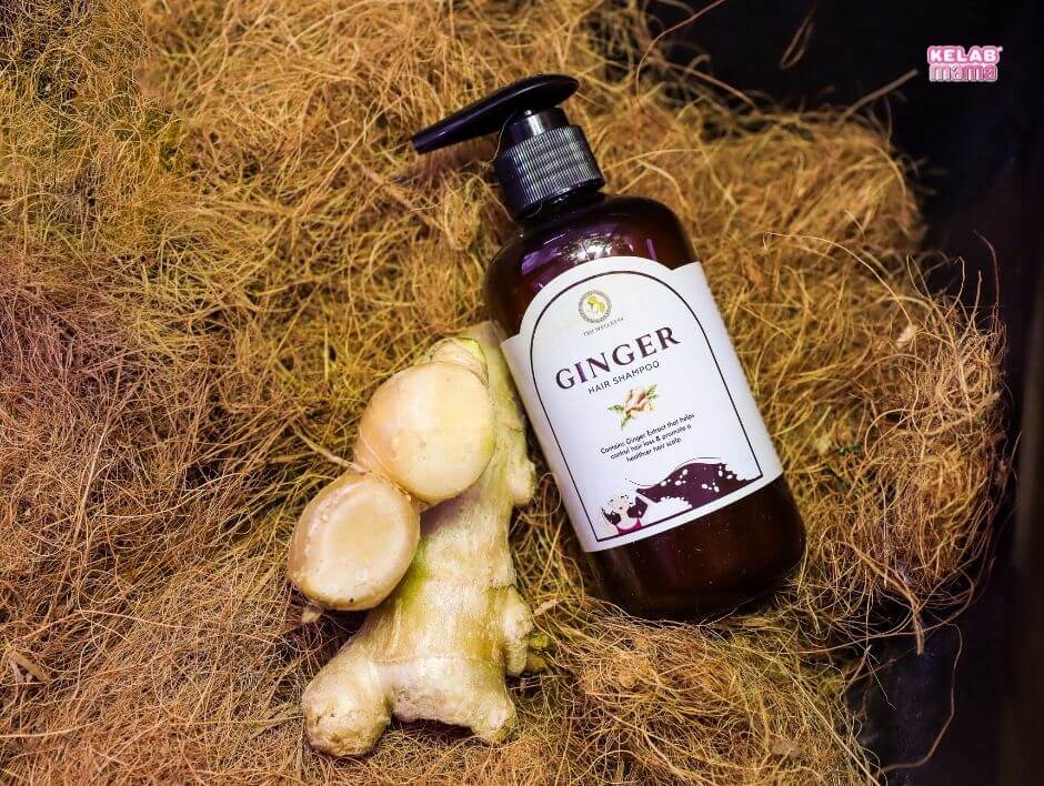 TBH Wellness Ginger Set