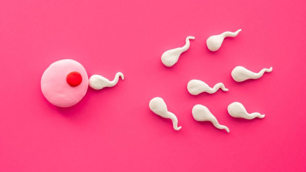 DNA Sperma Suami mempengaruhi kehamilan