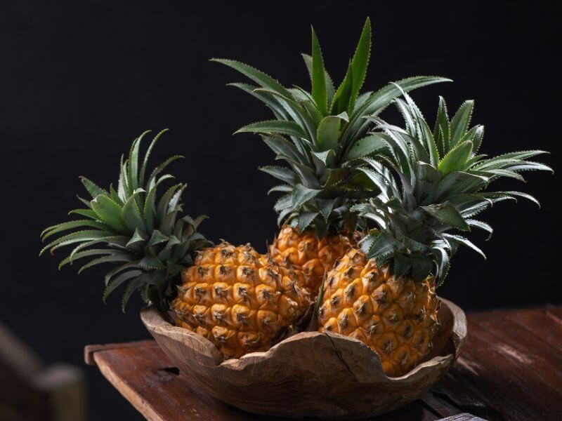 buah nanas dalam peti sejuk