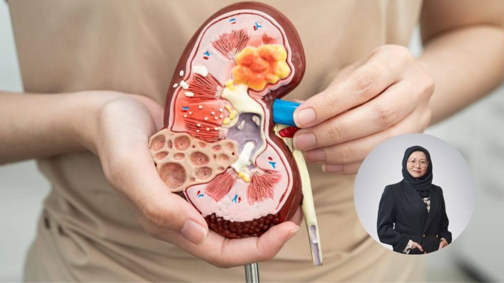 Dr Rosnawati Binti Yahya Mengenai Kesihatan Buah Pinggang Wanita