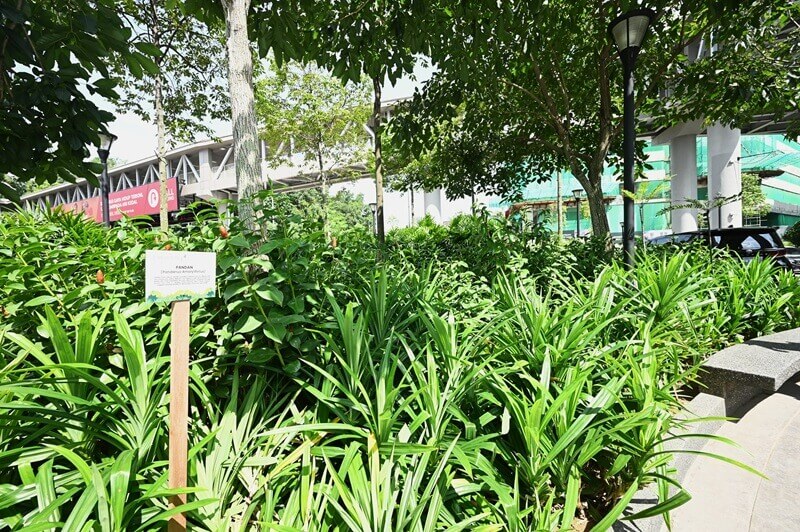 Taman Herba di Pavilion Bukit Jalil, Pavilion Loves Sustainability