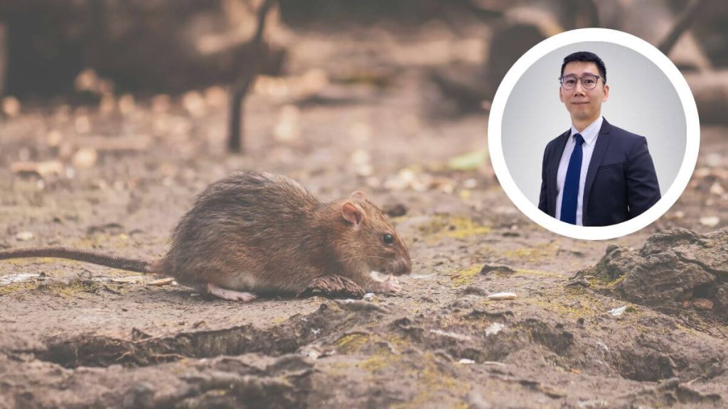 Pakar Penyakit Berjangkit Sunway, tentang Hantavirus